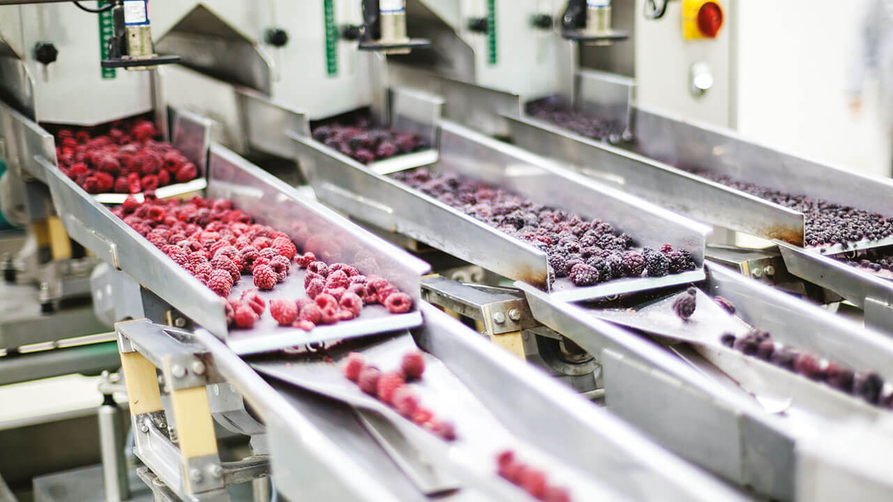 Simplifiez la construction de votre outil de production agroalimentaire